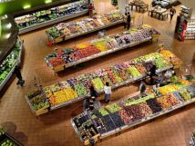 {{brizy_dc_image_alt entityId=